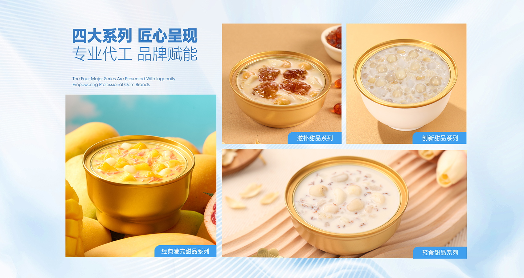 四大产品系列.jpg